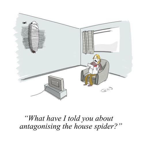 Cartoon showing a man wrapped in a web, stuck to a wall. His wife is saying: "What have I told you about antagonising the house spider?"