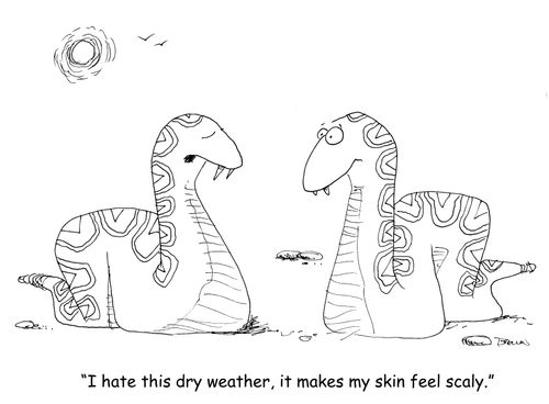 "I hate this dry weather, it makes my skin feel scaly." (two snake stalking about their skin)