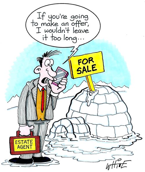 Igloo for sale.