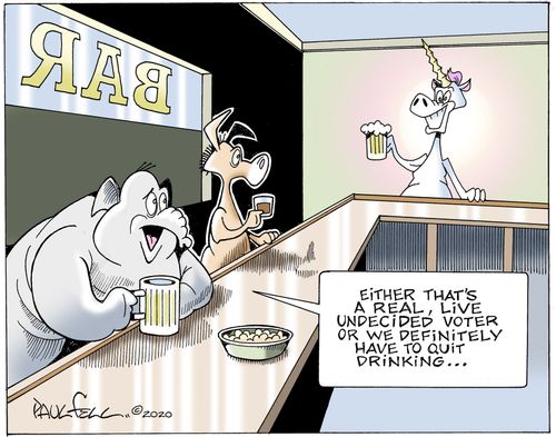 "Either that's a real, live undecided voter or we definitely have to quit drinking..."
