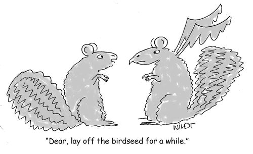 "Dear, lay off the birdseed for a while.