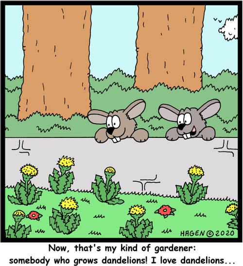 "Now, that's my kind of gardener: somebody who grows dandelions! I love dandelions..."