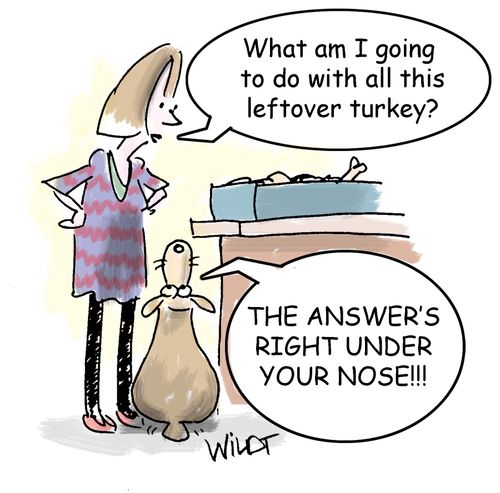 "What am I going to do with all this leftover turkey?"