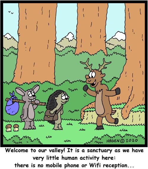 Welcome to our valley! It is a sanctuary as we have very little human activity here: there is no mobile phone or Wifi reception...