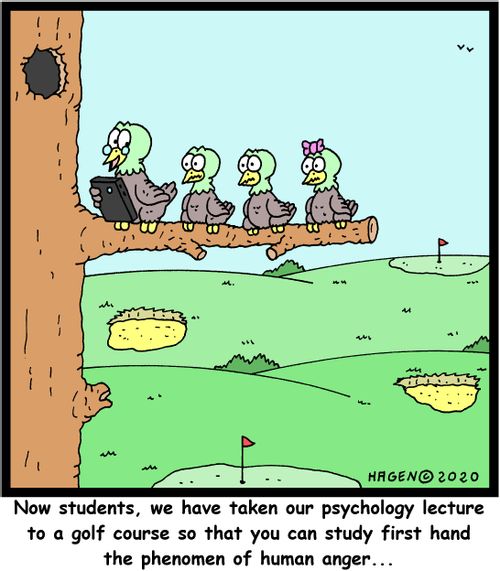Now students, we have taken our psychology lecture to a golf club so that you can study first hand the phenomen of human anger...