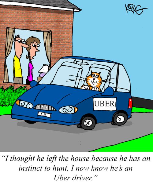 "I thought he left the house because he has an instinct to hunt. I now know he's an Uber driver."