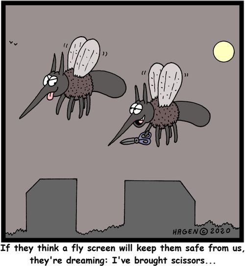 "If they think a fly screen will keep them safe from us, they're dreaming: I've brought scissors...'