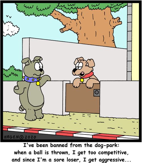 I've been banned from the dog-park: when a ball is thrown, I get too competitive, and since I'm a sore loser, I get aggressive...