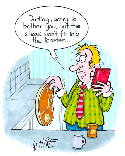 "Darling, sorry to bother you, but the steak won't fit into the toaster..."