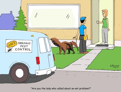 "Are you the lady who called about an ant problem?"