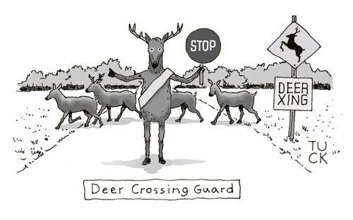 Deer Crossing Guard
