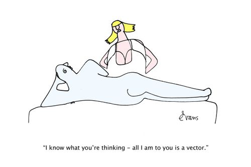 "I know what you're thinking - all I am to you is a vector."