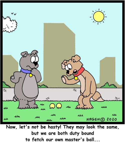 Now, let's not be hasty! They may look the same, but we are both duty bound to fetch our own master's ball...