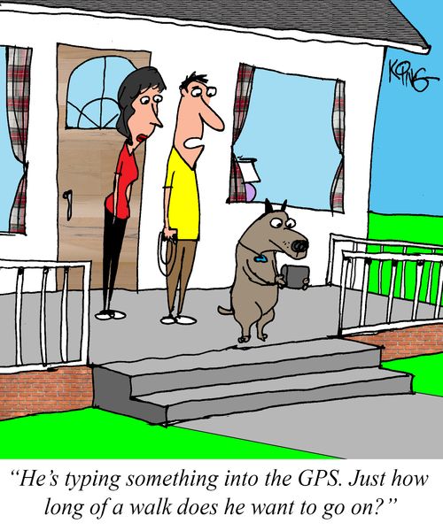 "He's typing something into the GPS. Just how long of a walk does he want to go on?"