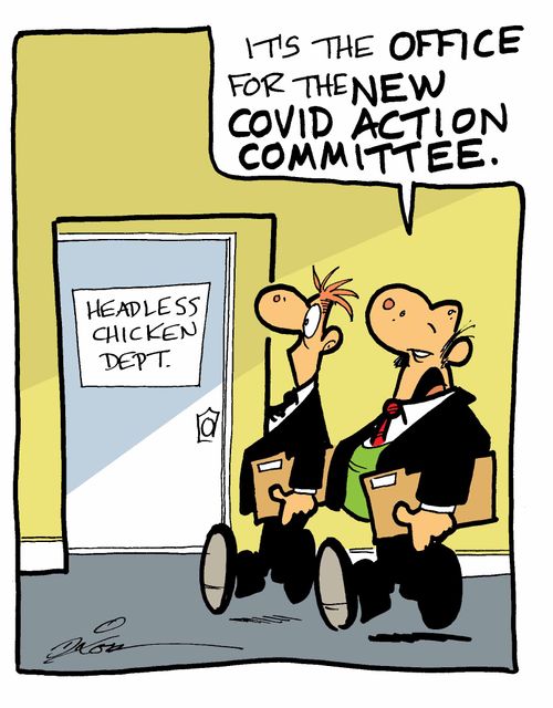 Headless Chicken Dept.