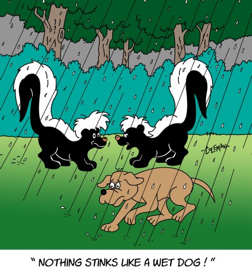"Nothing stinks like a wet dog."