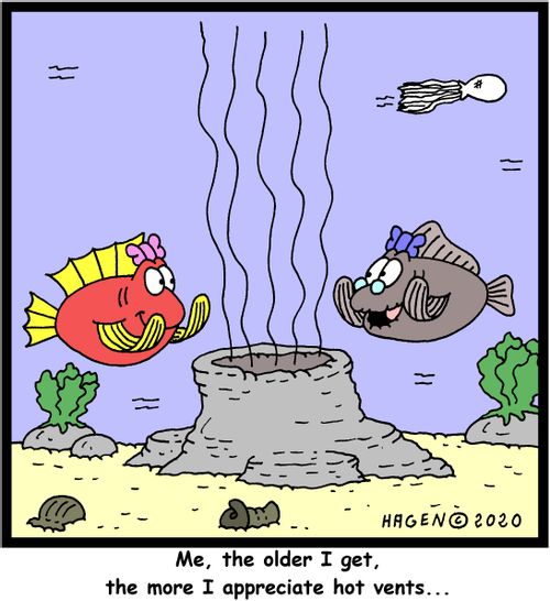 Me, the older I get, the more I appreciate hot vents...