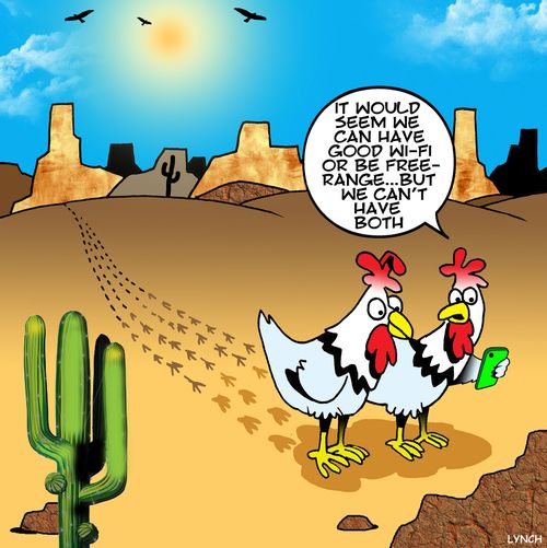 "It would seem we can have good wi-fi or be free-range but we can't have both."
