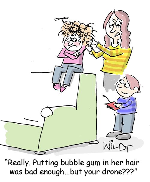 Putting bubble gum in her hair was bad enough...but your drone?