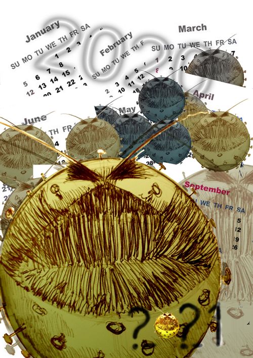 Covid calendar