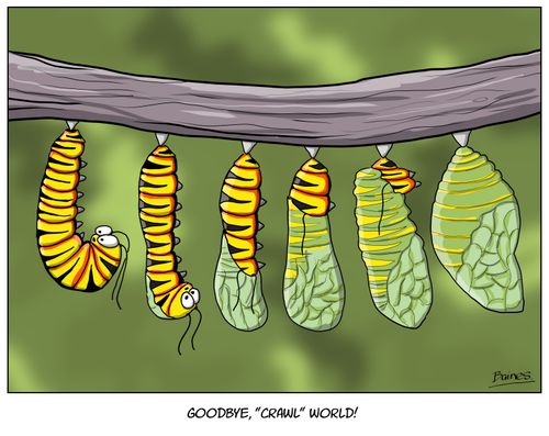 Goodbye, "crawl" world!