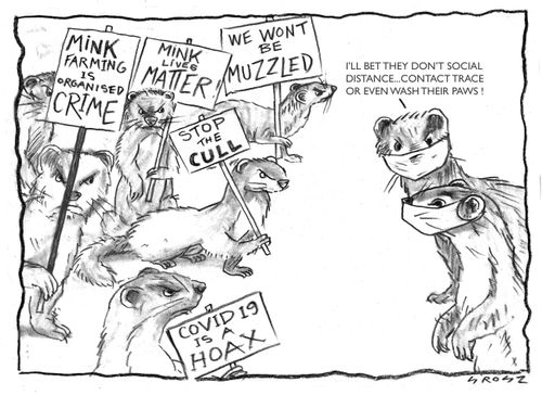 "I bet they don't social distance... contact trace or even wash their paws."