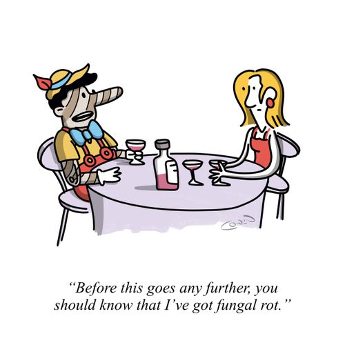 Pinocchio on a date: "Before this goes any further, you should know that I've got fungal rot."