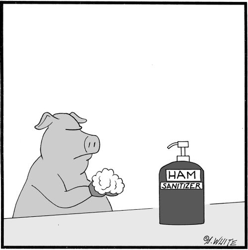Ham Sanitizer