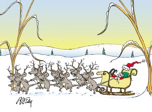 Mice as reindeer pulling an elf Santa Claus