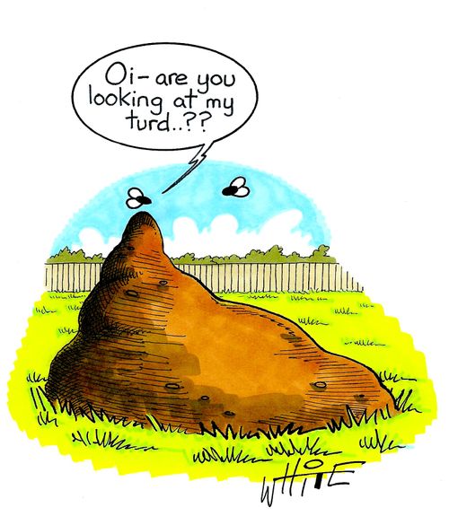 "Oi - are you looking at my turd..?"