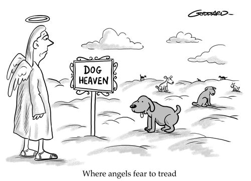 Dog heaven - Where angels fear to tread.
