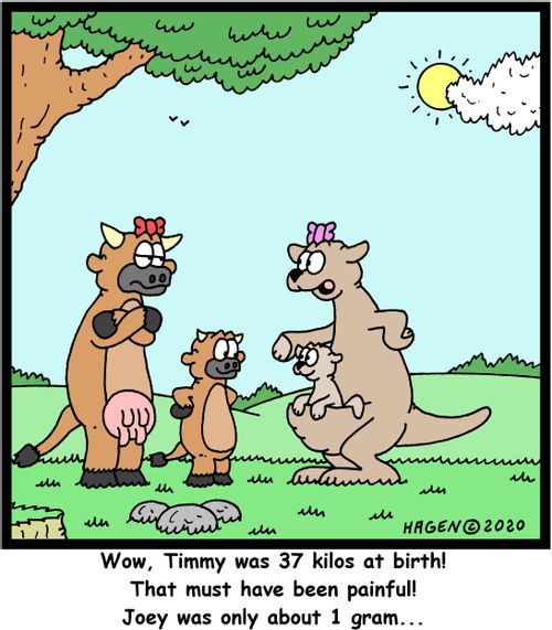 Wow, Timmy was 37 kilos at birth! That must have been painful! Joey was only about 1 gram...