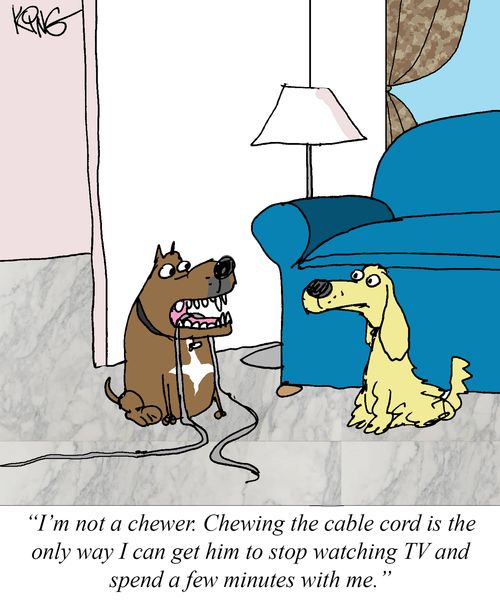 "I'm not a chewer. Chewing the cable cord is the only way I can get him to stop watching TV and spend a few minutes with me."