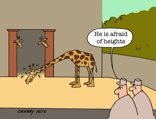 "He is afraid of heights."