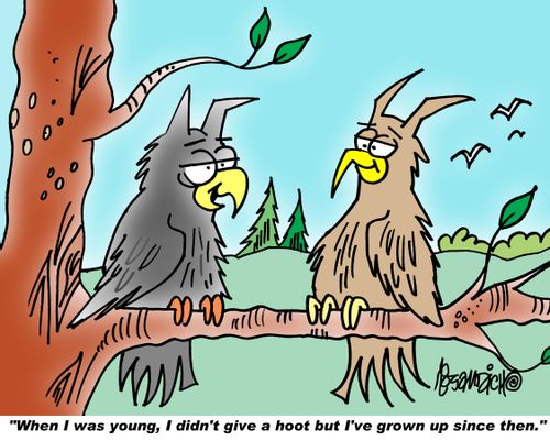 "When I was young I didn't give a hoot but I've grown up since then."