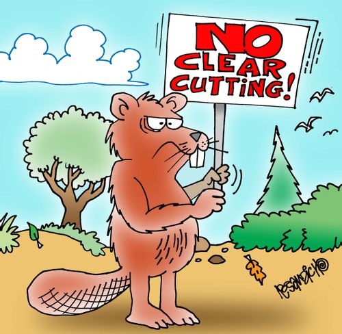 "No clear cutting."