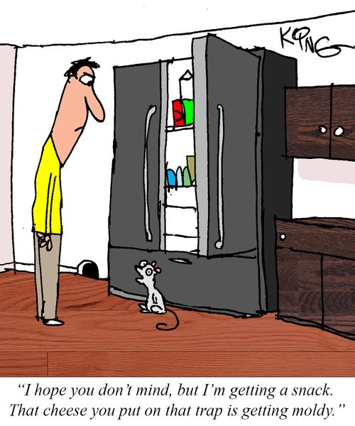 "I hope you don't mind, but I'm getting a snack. That cheese you put on that trap is getting modly
