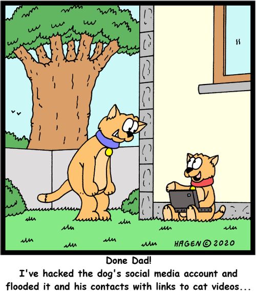 "Done Dad! I've hacked the dog's social media account and flooded it and his contacts with links to cat videos..."