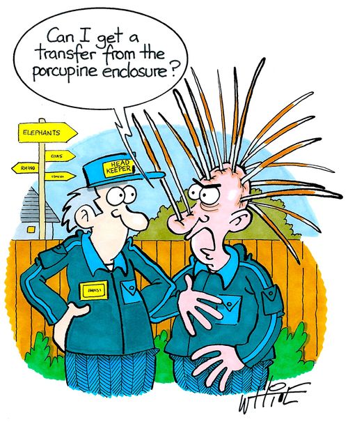 "Can i get a transfer from the porcupine enclosure..?