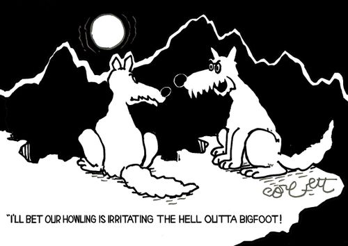 Wolves in moonlight: 'I'll bet our howling is irritating the hell outta Bigfoot!'