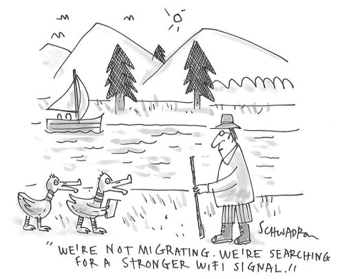 "We're not migrating. We're searching for a stronger wifi signal."