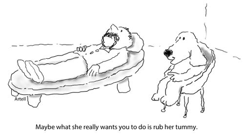 "Maybe what she really wants you to do is rub her tummy."
