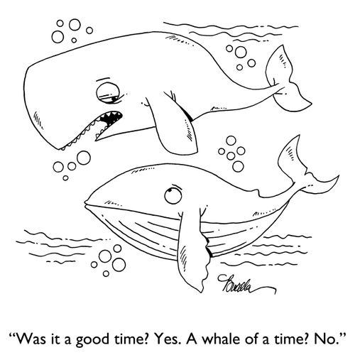 "Was it a good time? Yes. Was it a whale of a time? No."