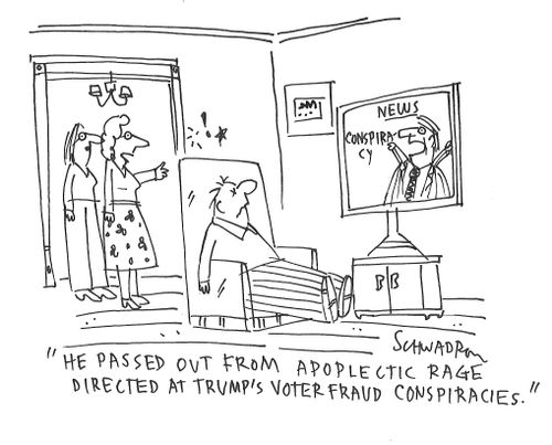 "He passed out from apoplectic rage directed at Trump's voter fraud conspiracies."