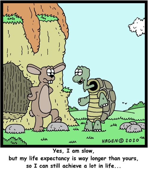 Yes, I am slow, but my life expectancy is way longer than yours, so I can still achieve a lot in life...