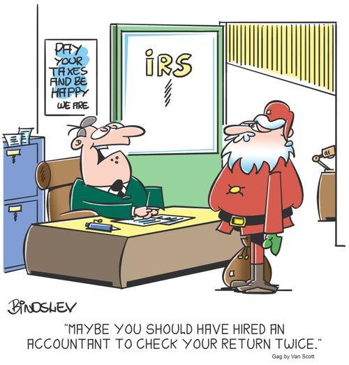 "Maybe you should have hired an accountant to check your return twice."