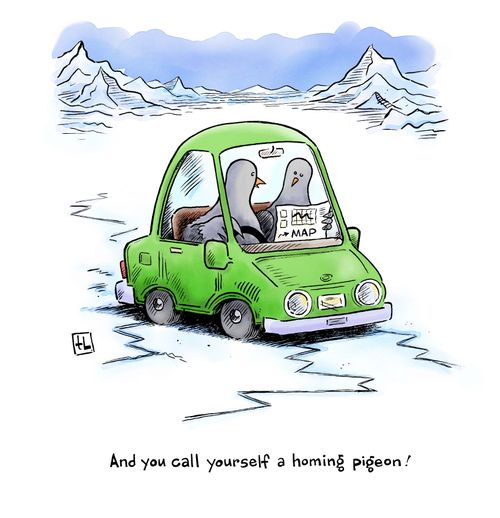 And you call yourself a homing pigeon