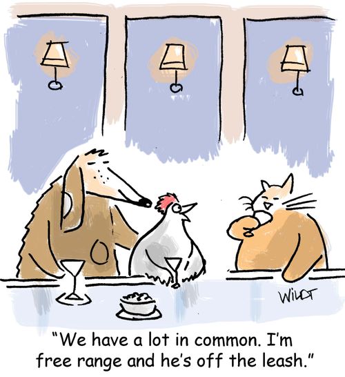We have a lot in common. I'm free range and he's off the leash.