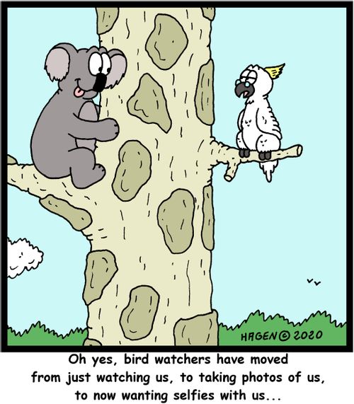 "Oh yes, bird watchers have moved from just watching us, to taking photos of us, to now wanting selfies with us..."