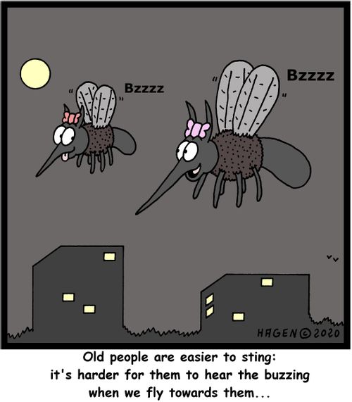 "Old people are easier to sting: it's harder for them to hear the buzzing when we fly towards them..."